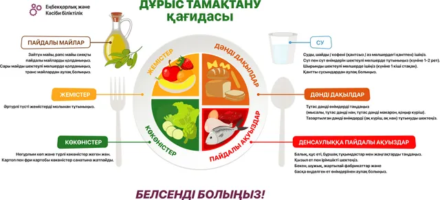 Дұрыс тамақтану қағидасы